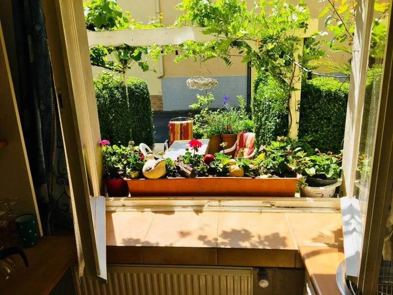 Gemütliche Fachwerk-Wohnung